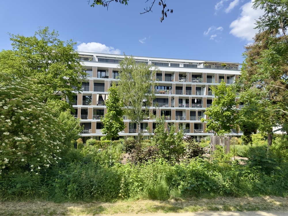 Rückseite