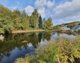Teich