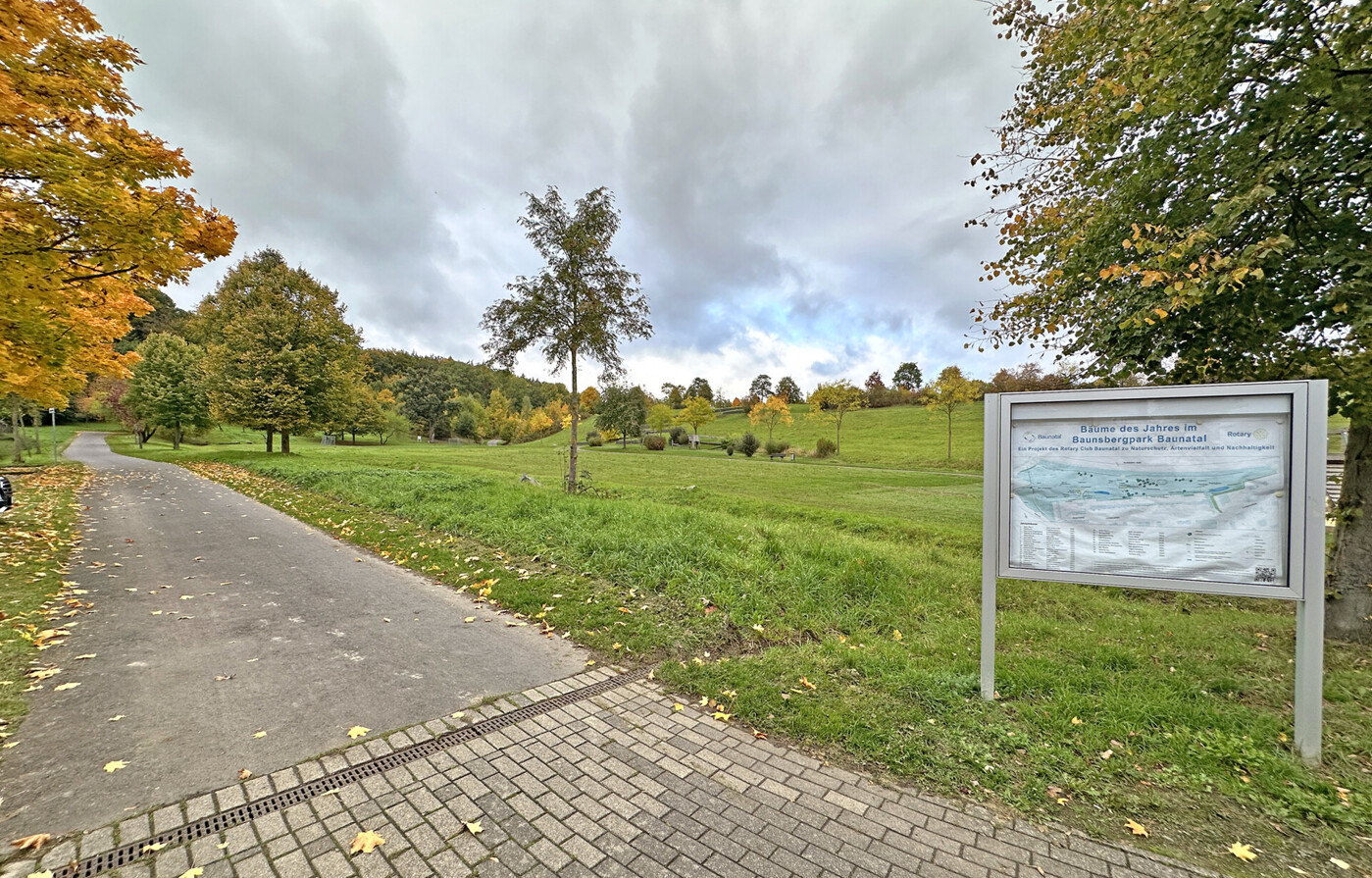 Baunsbergpark hinterm Haus