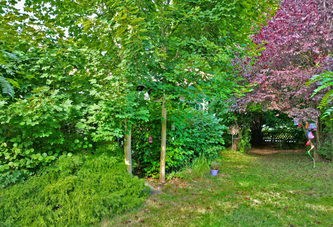4013 - aussen Garten (2)