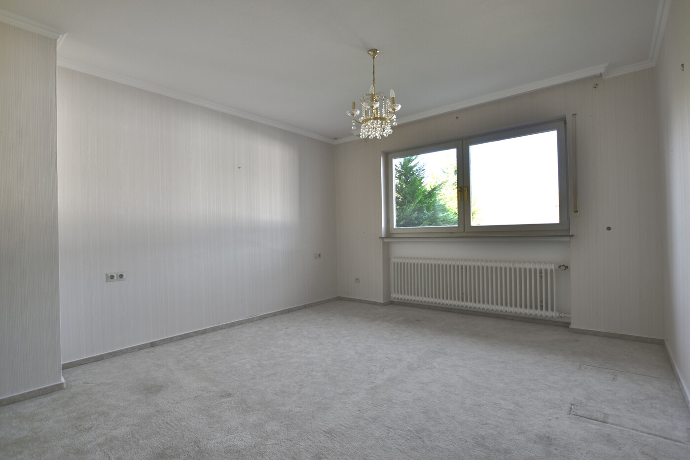 26-5545 - Zimmer