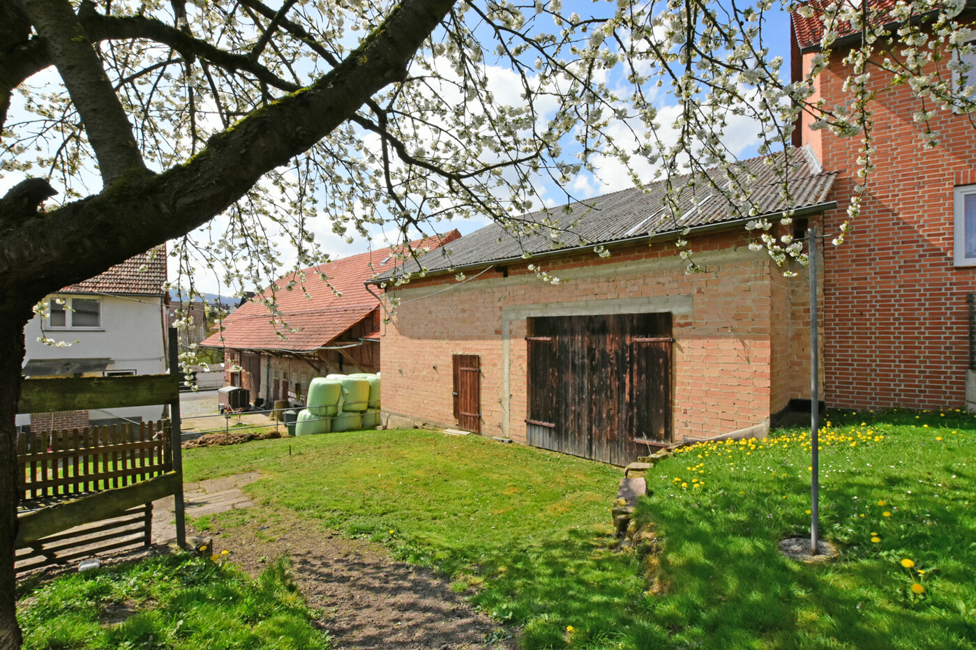 2-3885 - Garten 3