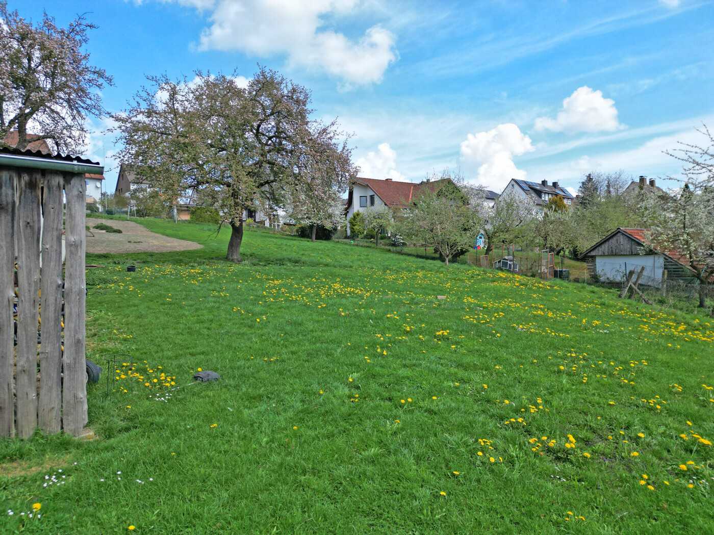 2-3885 - Garten 4
