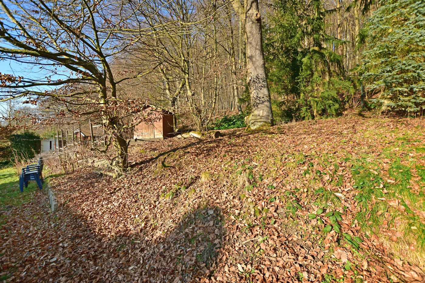 Grundstück (3)
