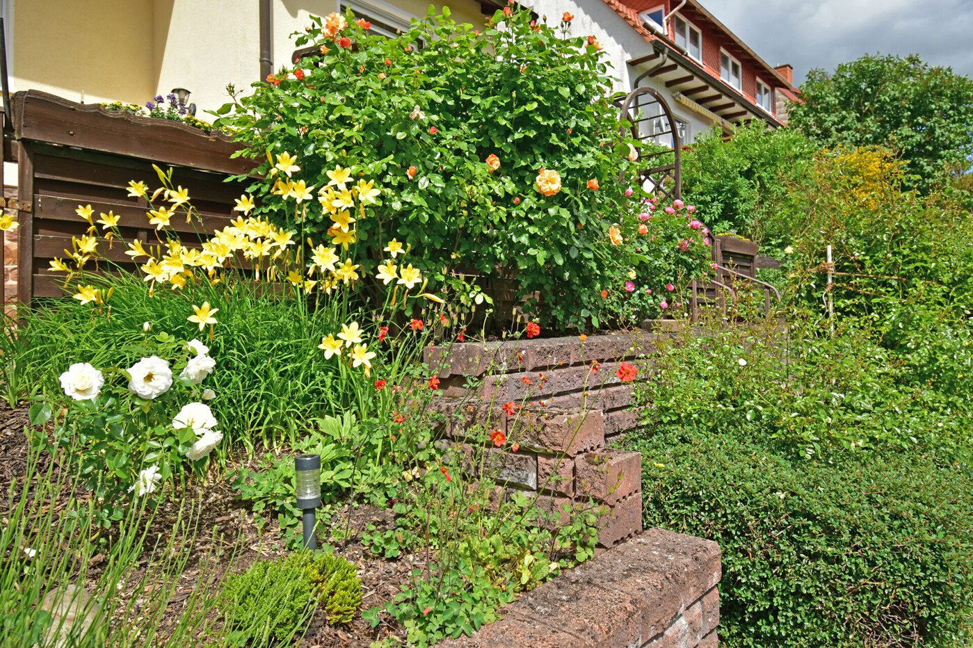 aussen Garten (7)