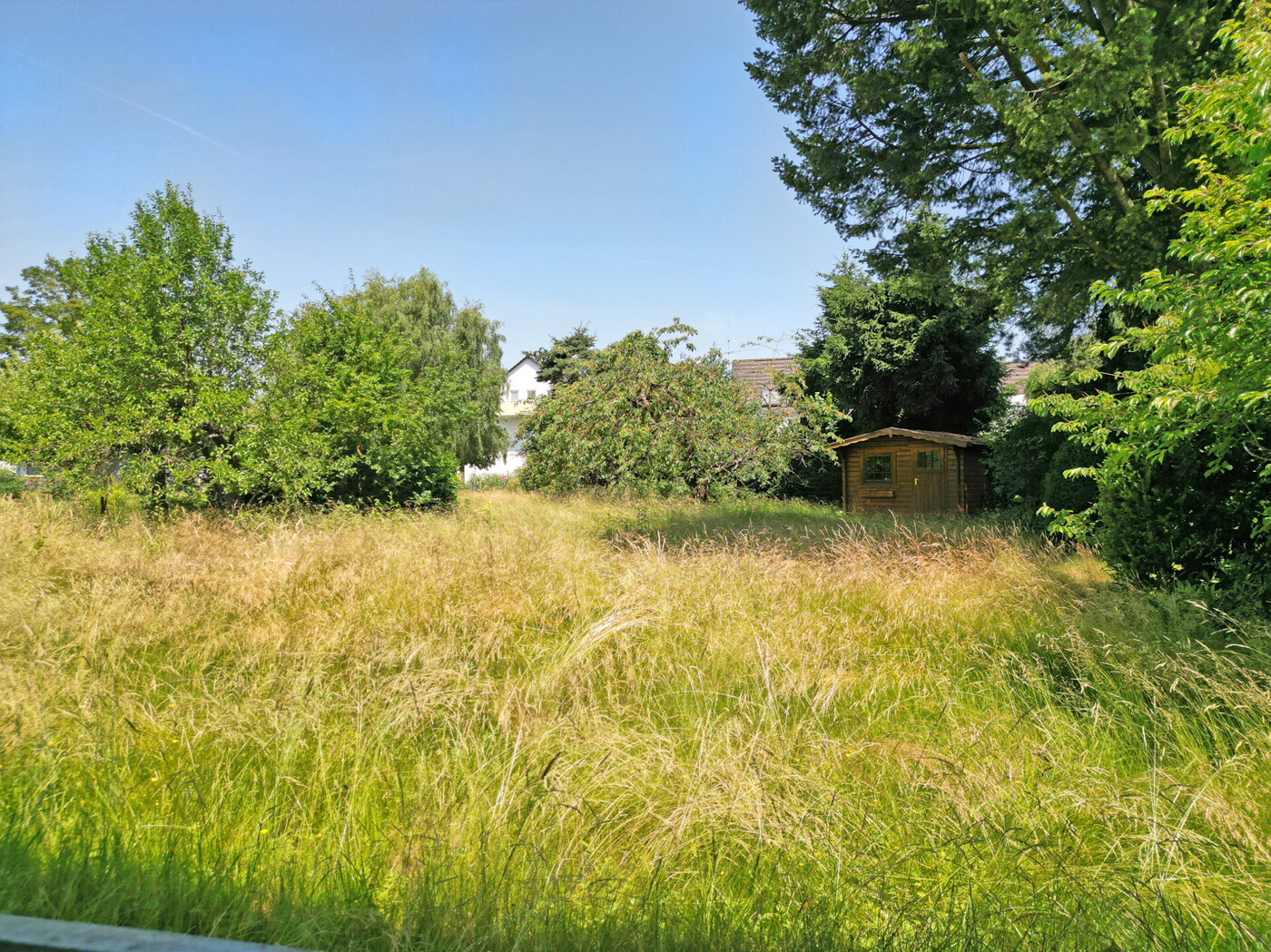 Garten - rückwärtiger Grundstücksteil