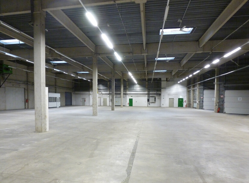 Halle1