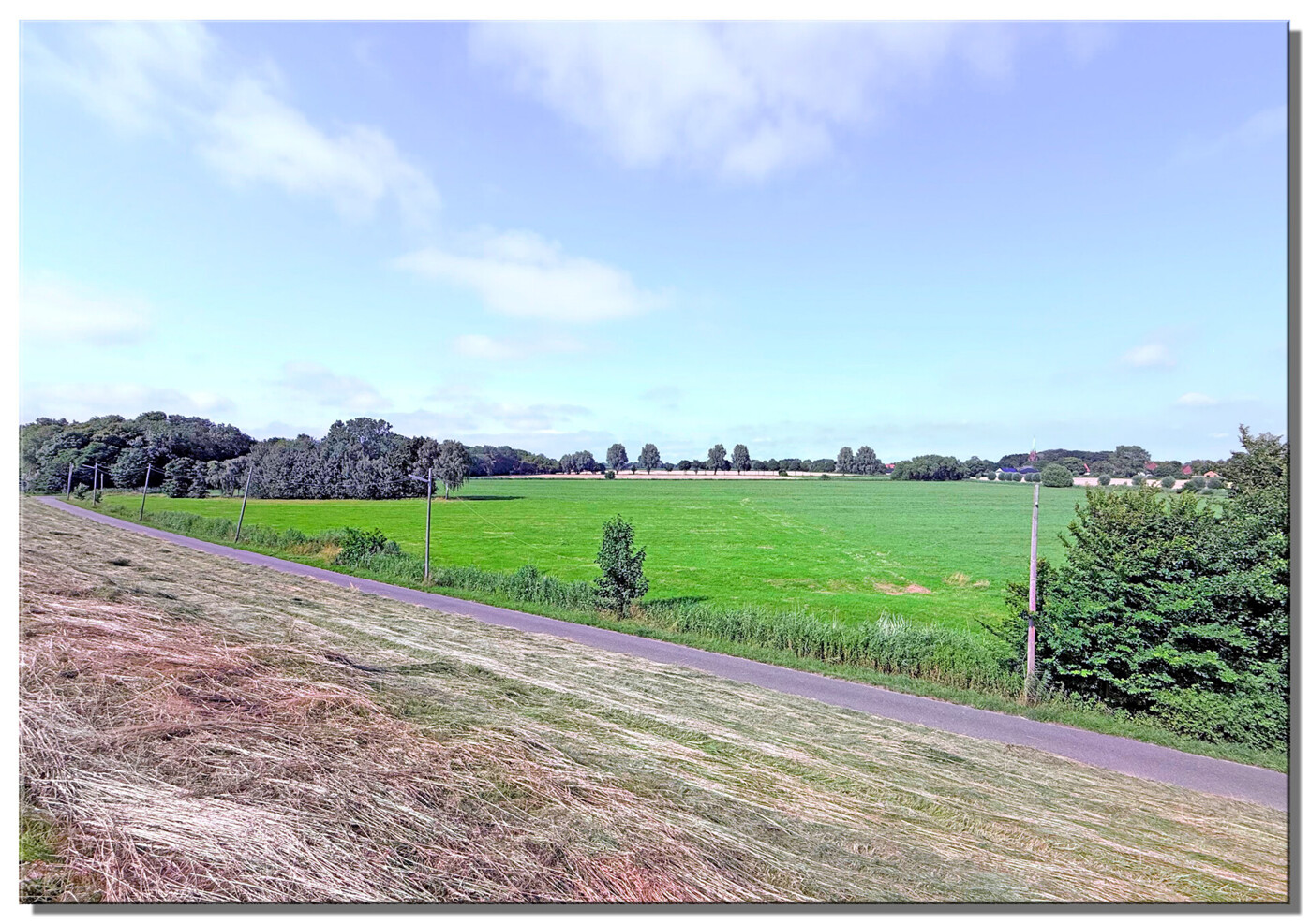 4857 m² landwirtschaftliches Grundstück, direkt am Deich Bremerhaven-Weddewarden