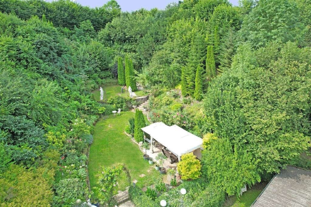 Bild24