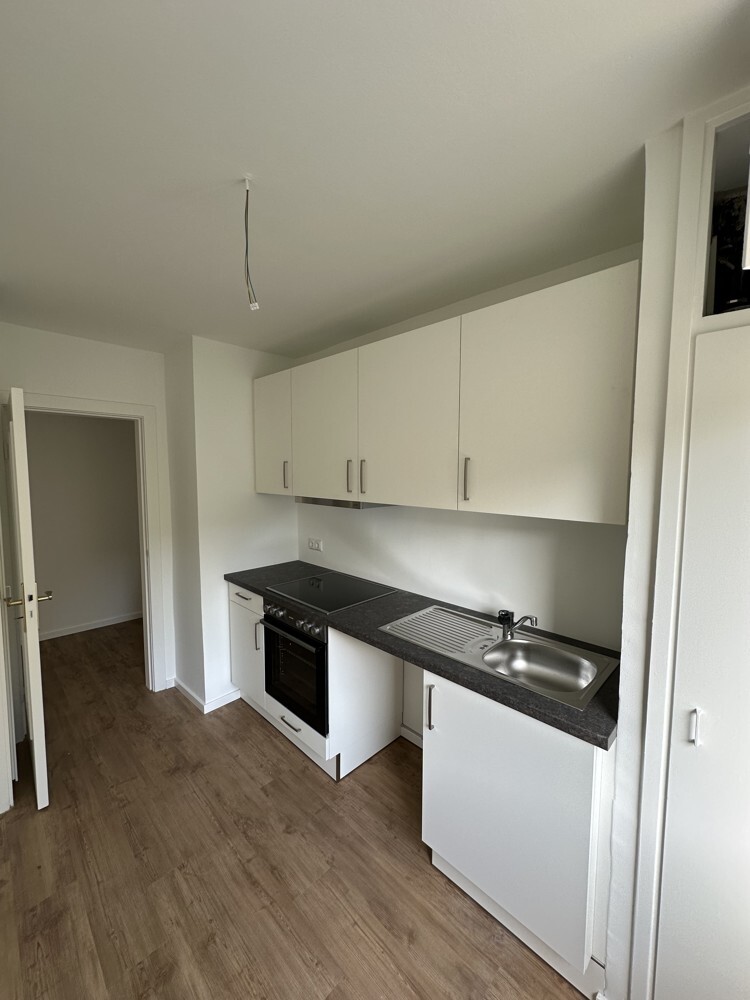 vollständig modernisierte 2-Zi.-Erdgesch ... - Photo 1