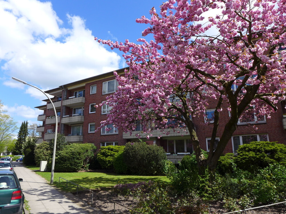 vollständig modernisierte 2-Zi.-Erdgesch ... - Photo 4