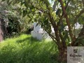 Garten mit neuen Pflastersteinen auf Paletten