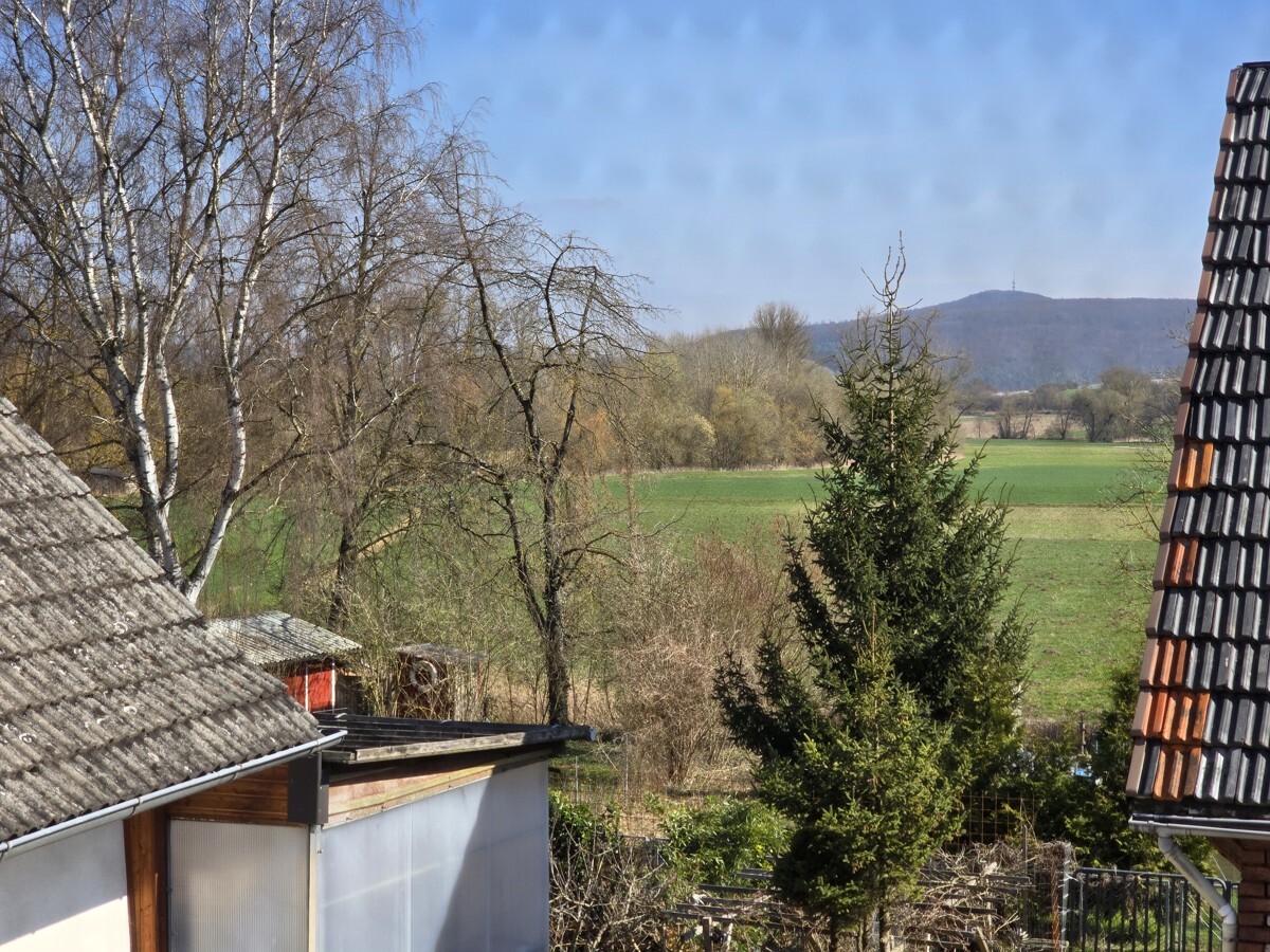 Ausblick 