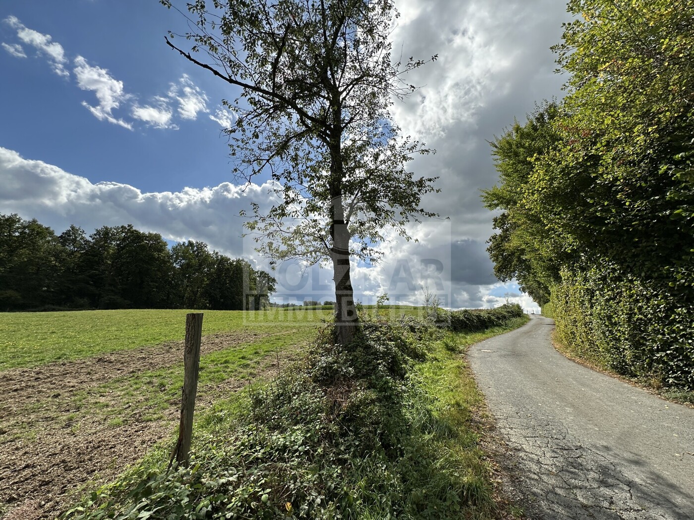 Anlieger Straße