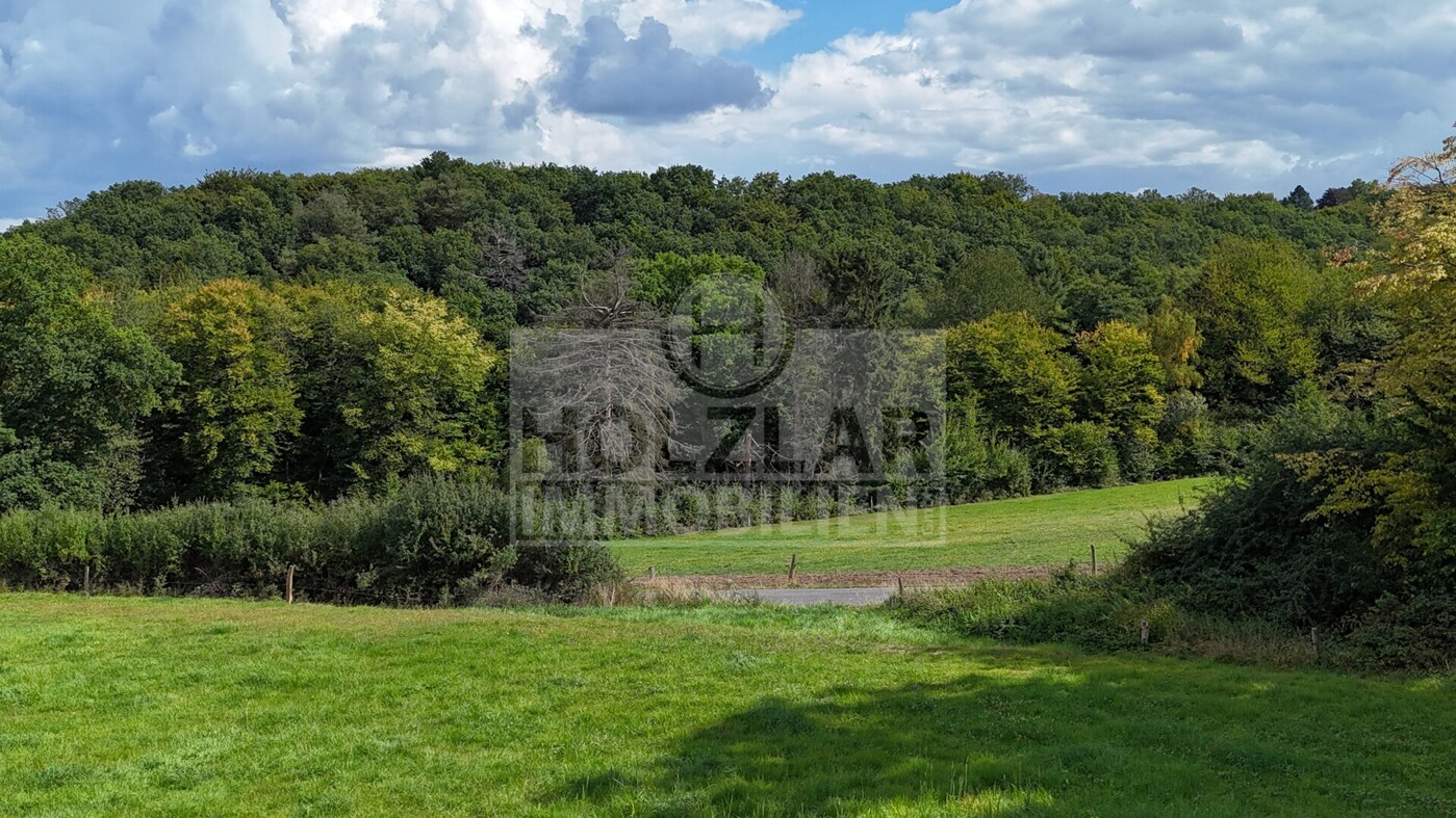 Blick ins Grüne