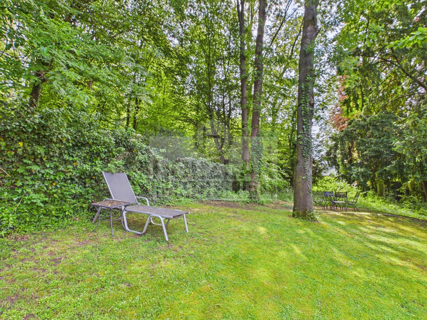 Eigener Waldgarten