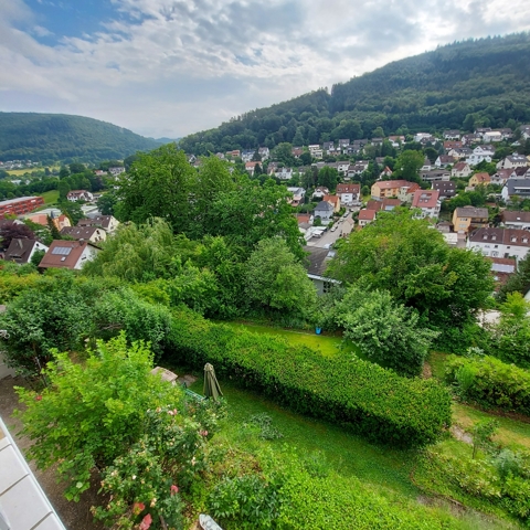 19 Garden from Terrace