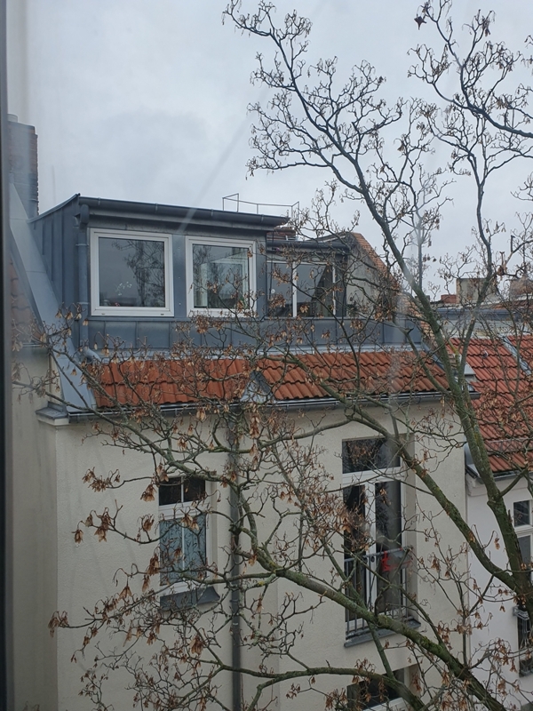Dachgaube