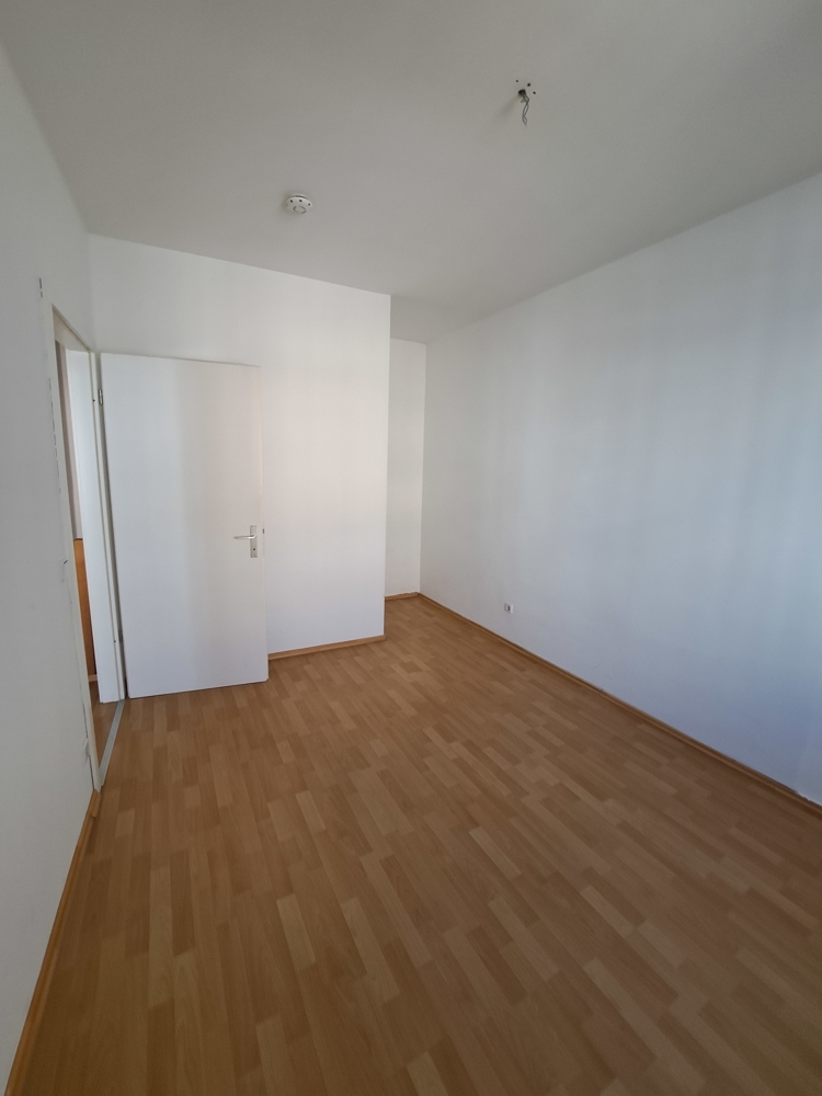 Zimmer 2