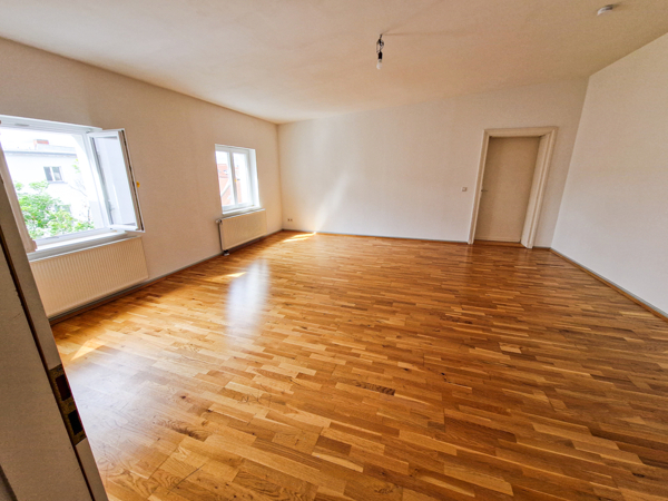 zimmer1.1