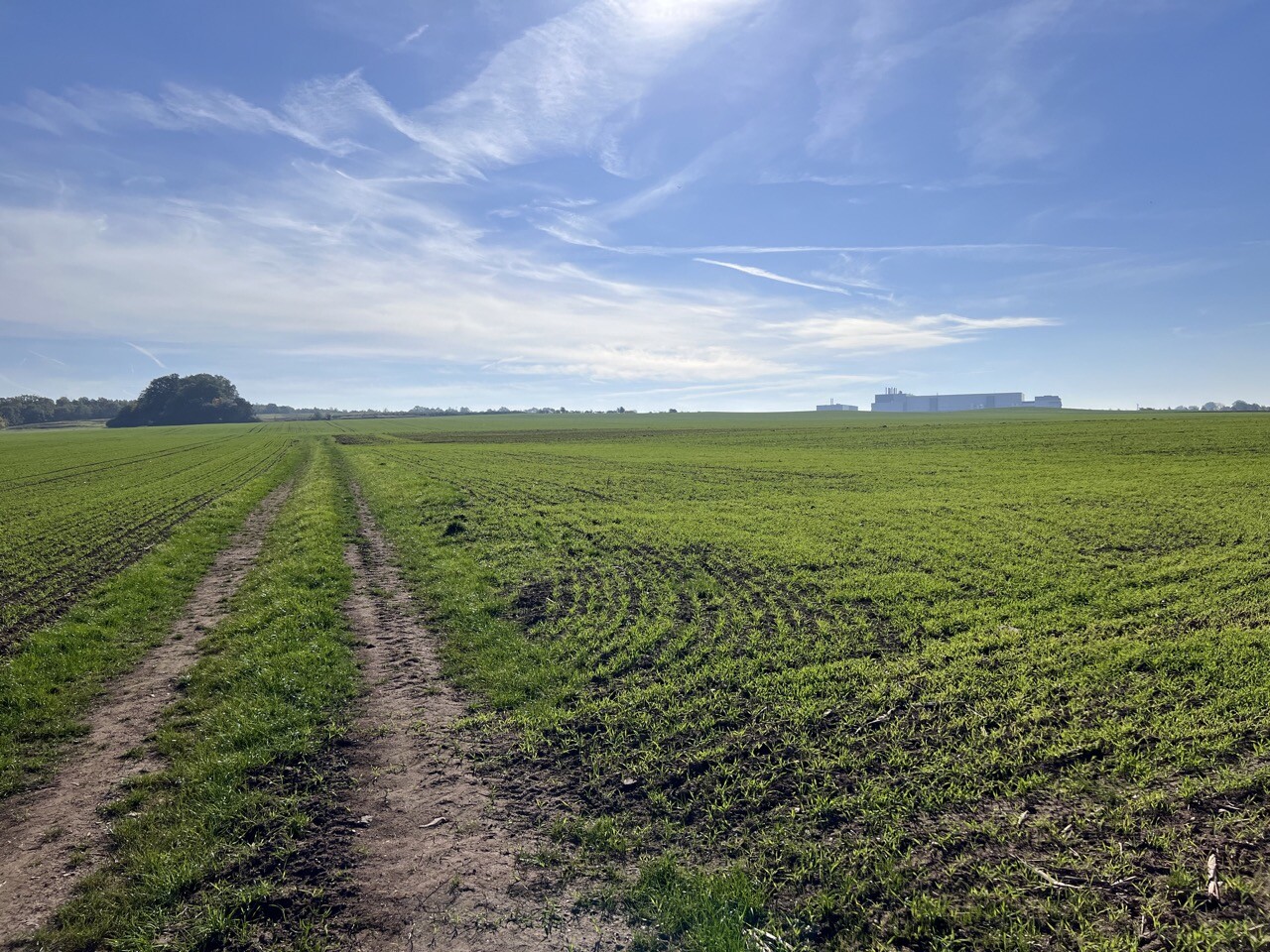 Wirtschaftsweg