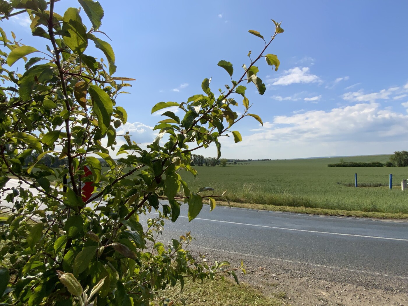 Blick von der Straße