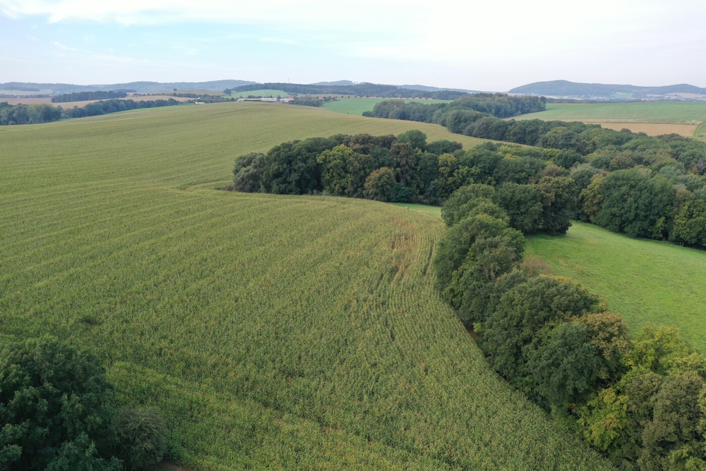 Luftaufnahme - Blick nach Wesen