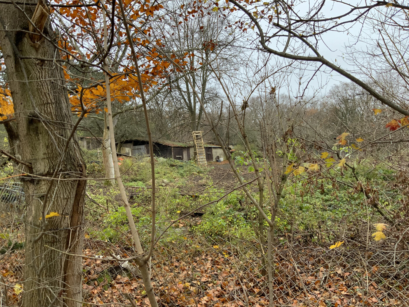 Blick ins Grundstück