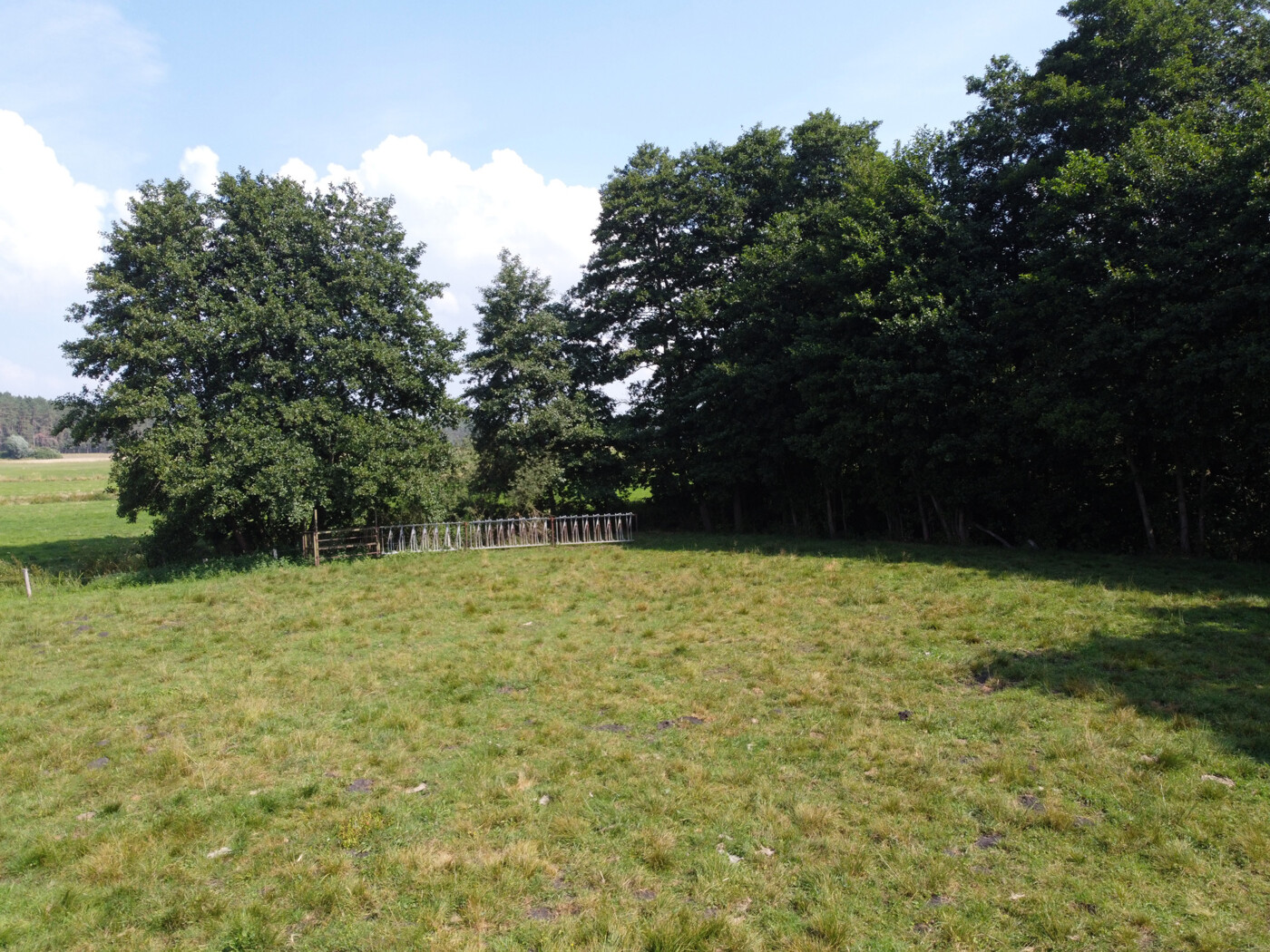 Luftaufnahme - Blick auf den Wald 2 