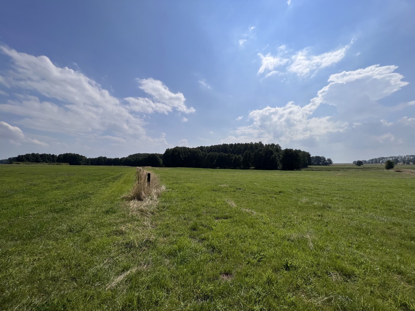 Blick über die Weide nach Süden