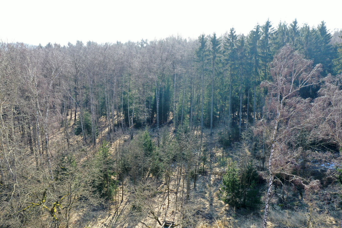 Luftaufnahme - Blick Richtung Süden