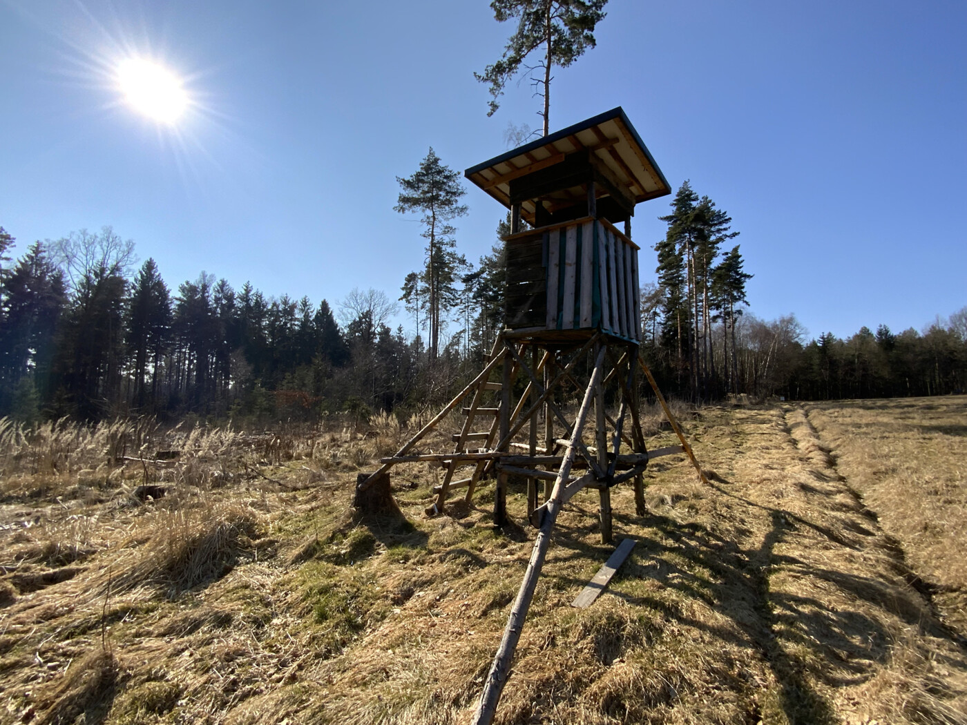 Blick auf unbestockte Fläche Richtung Westen