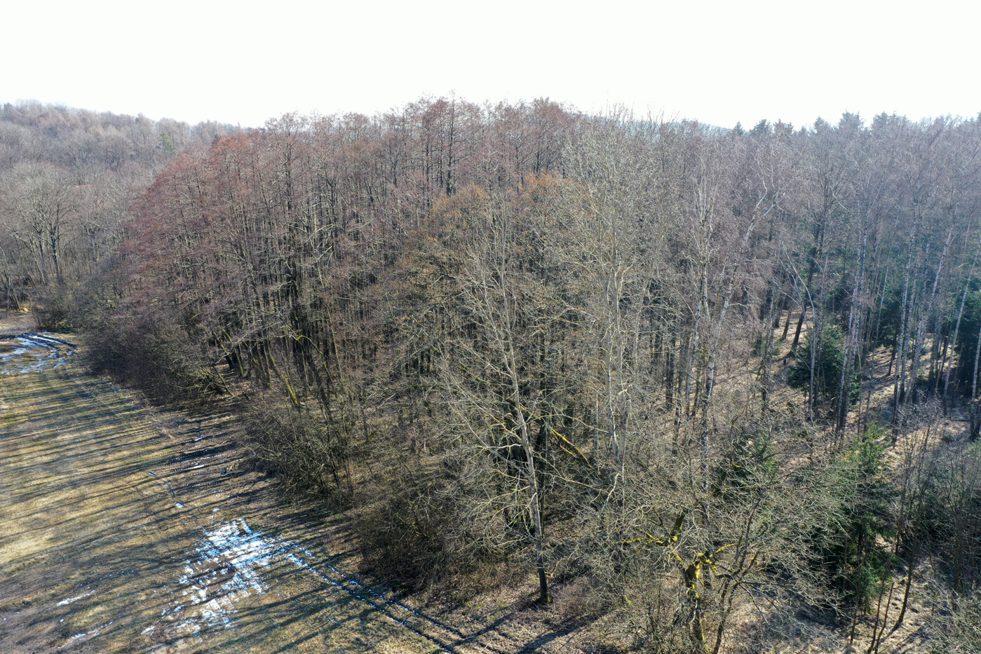 Luftaufnahme - Blick Richtung Süd-Osten