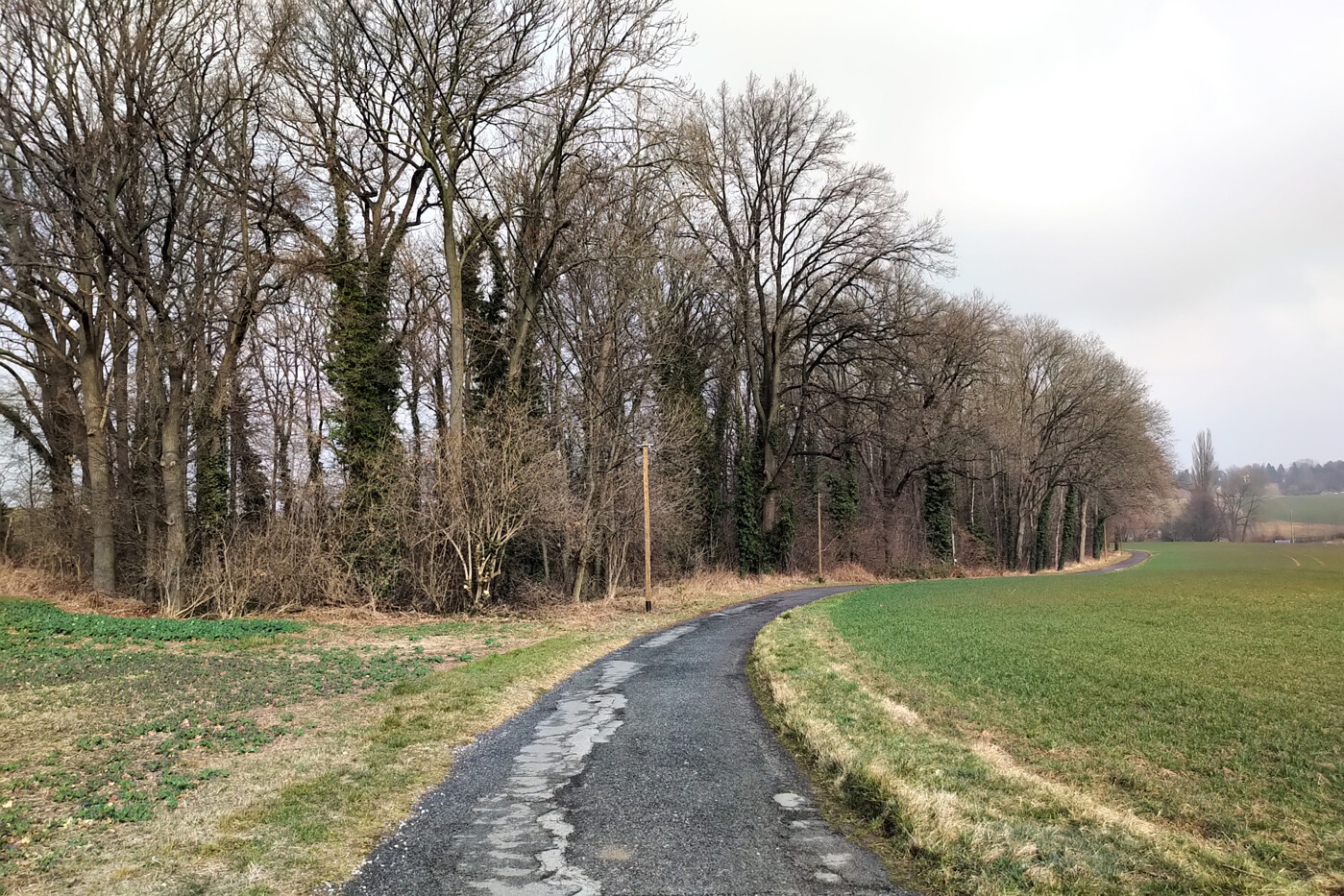 Blick nach Norden von Straße