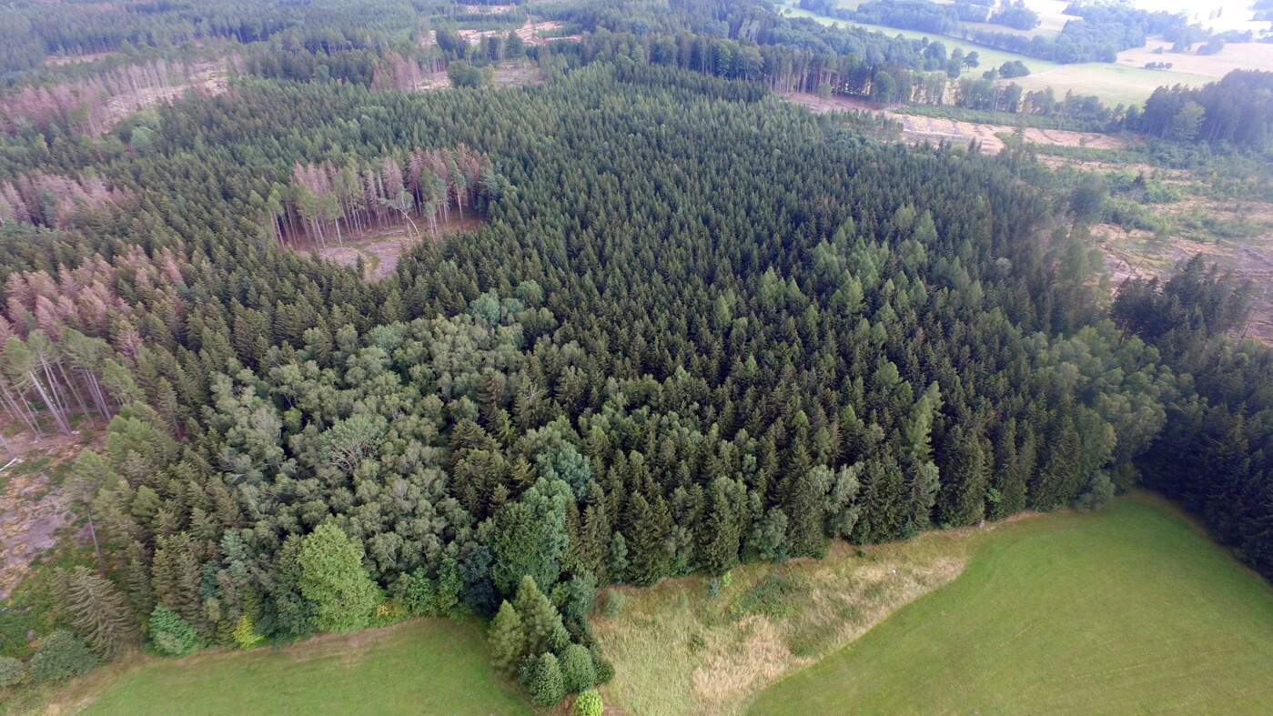 Luftaufnahme - Blick Richtung Osten