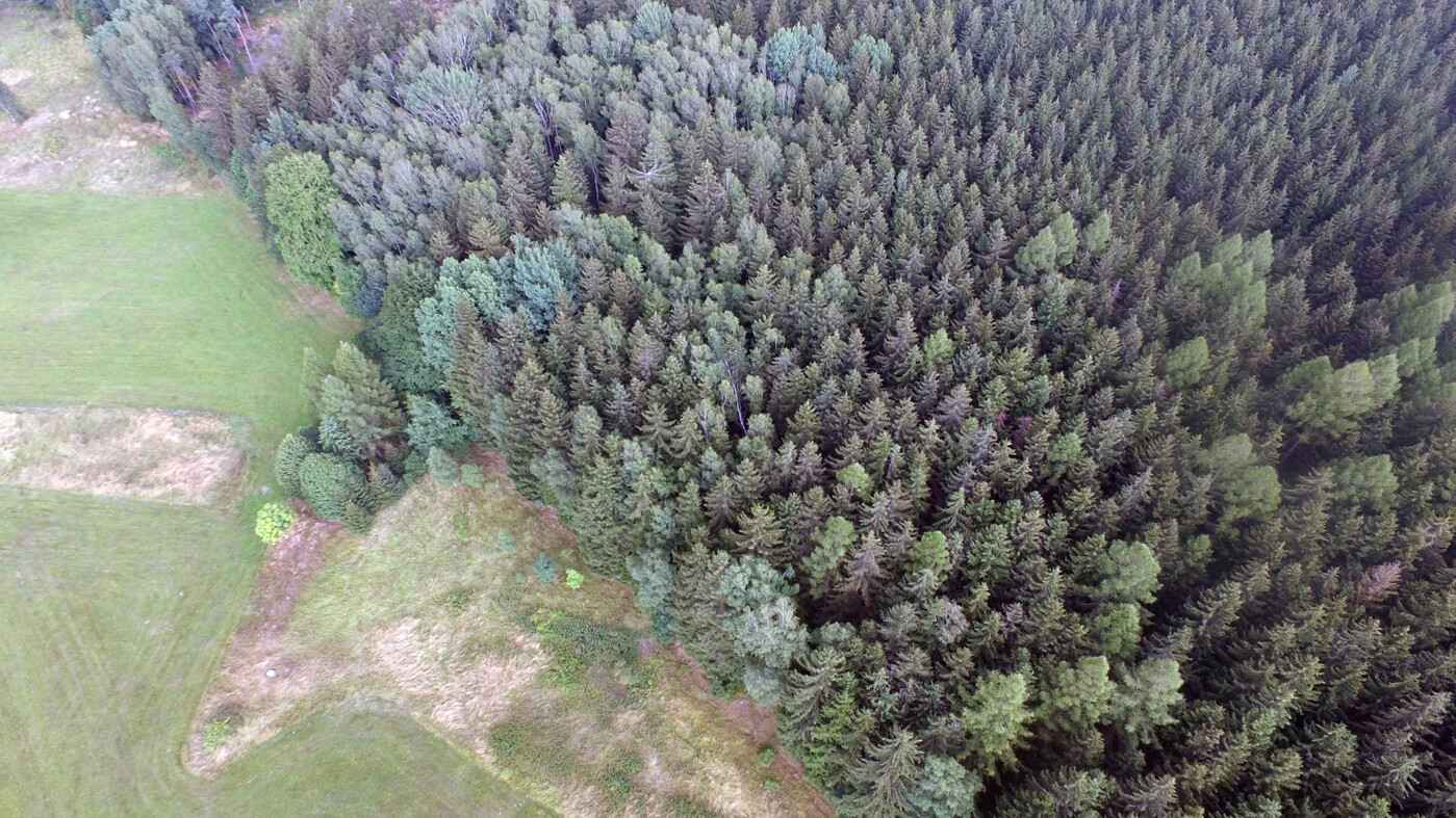 Luftaufnahme - Blick von Oben