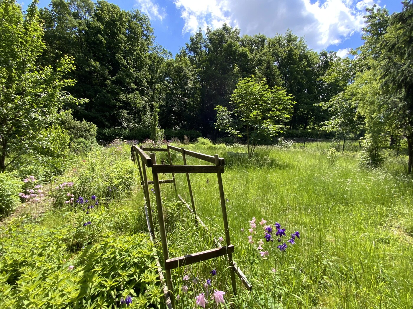 Blick in den Garten