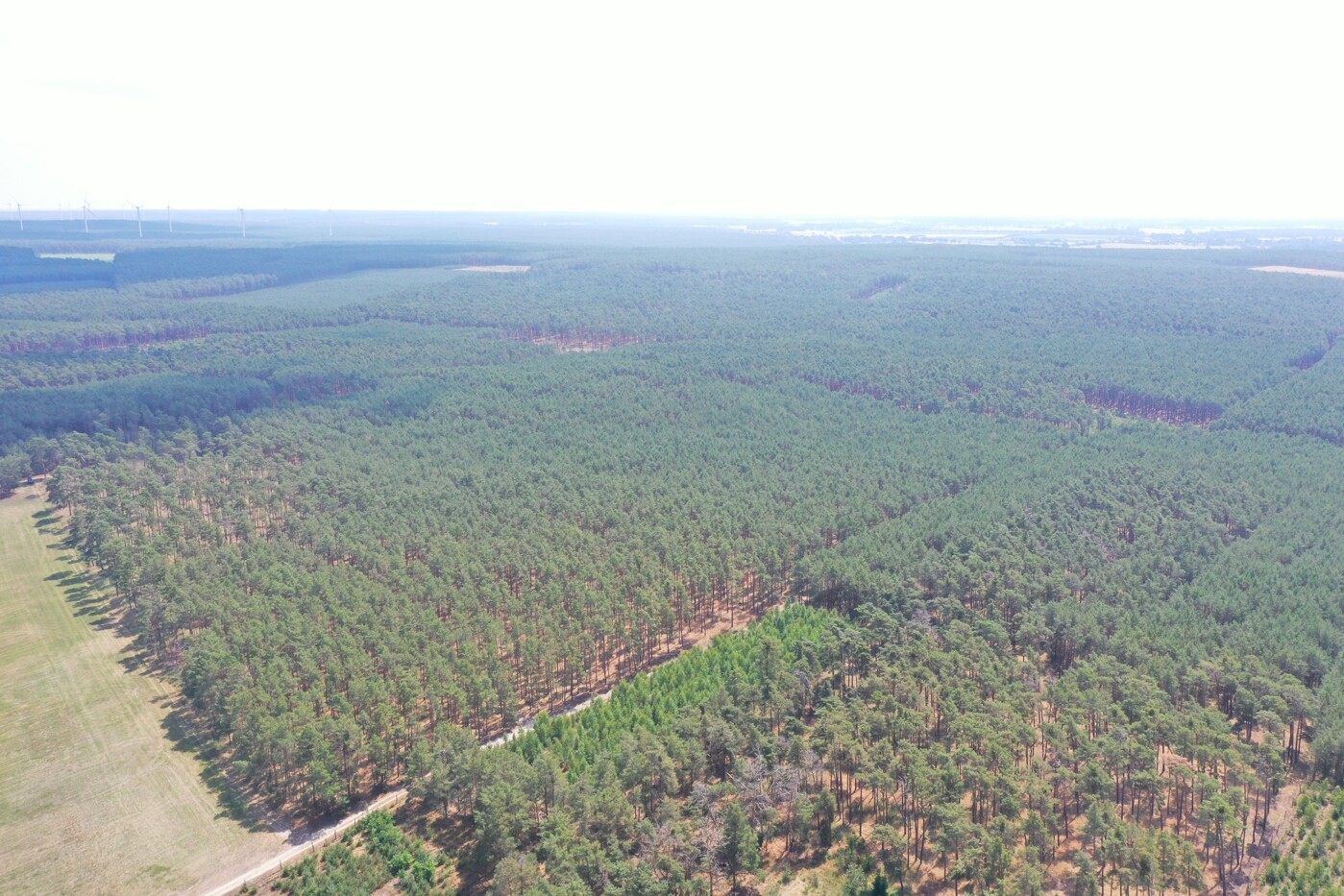 Luftaufnahme - Blick nach Süd-Osten