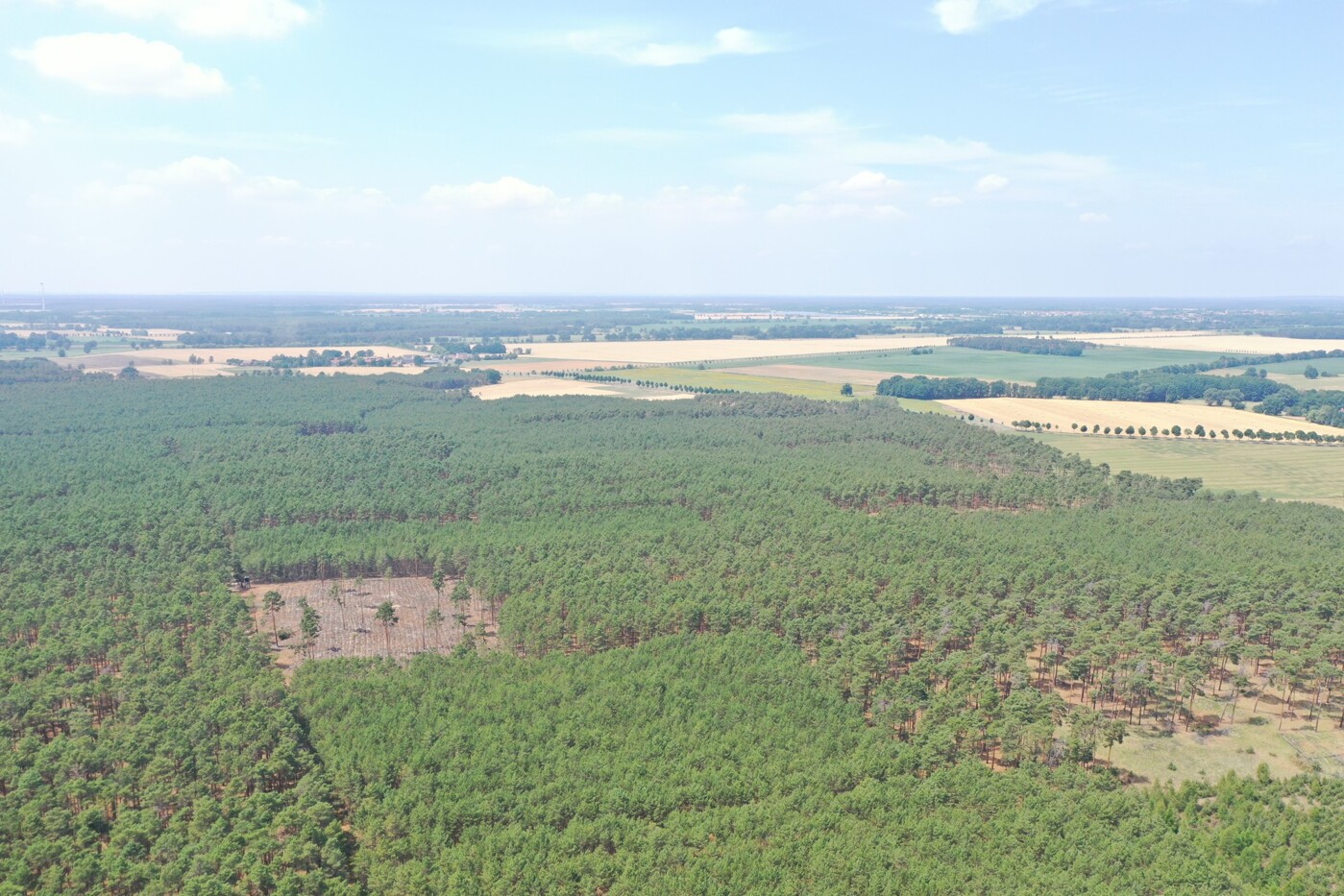 Luftaufnahme - Blick nach Süd-Westen