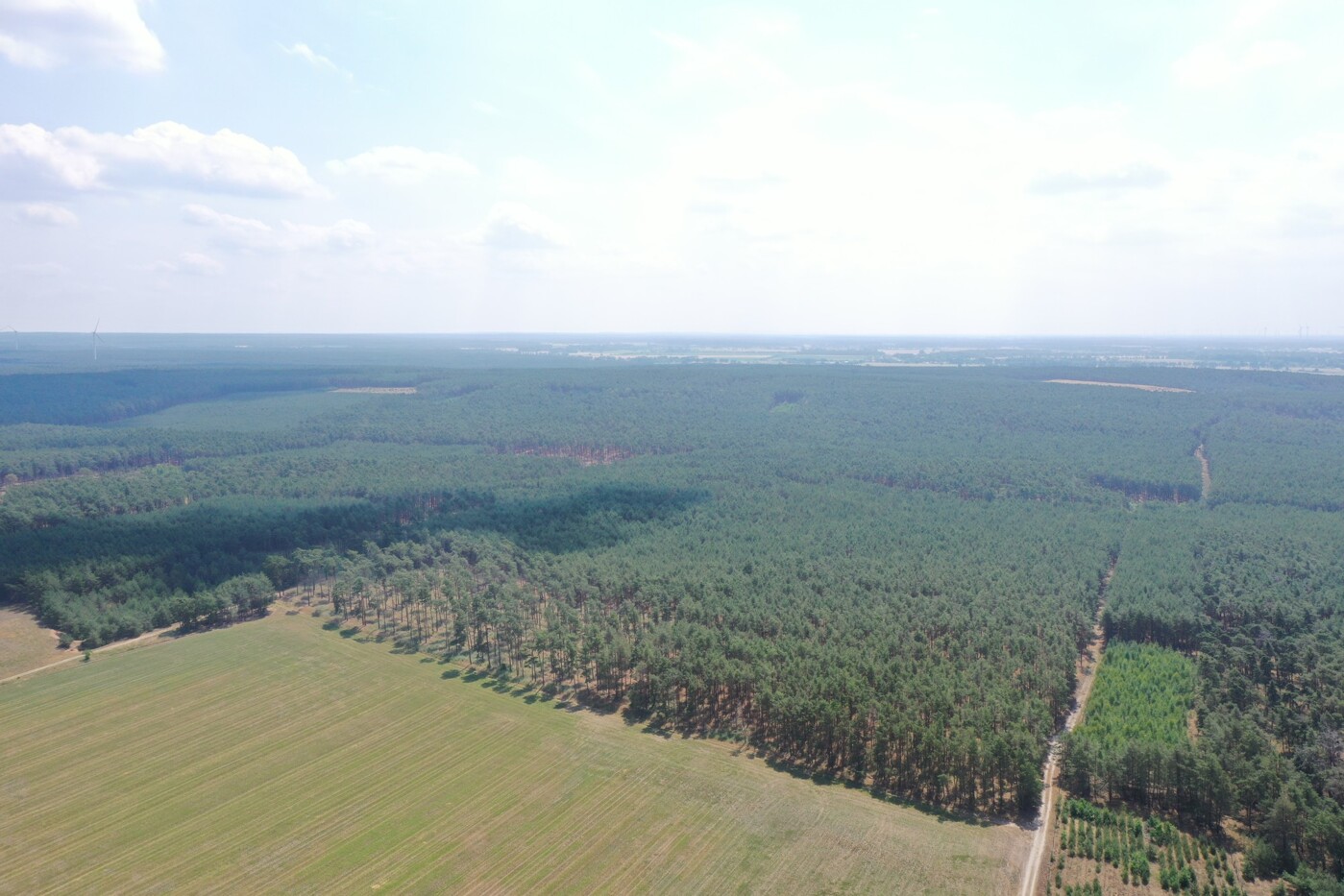 Luftaufnahme - Blick nach Süd-Osten