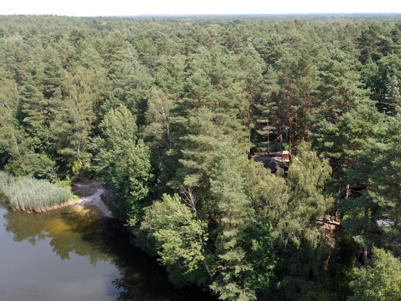 Luftaufnahme - Blick zum See Richtung Osten