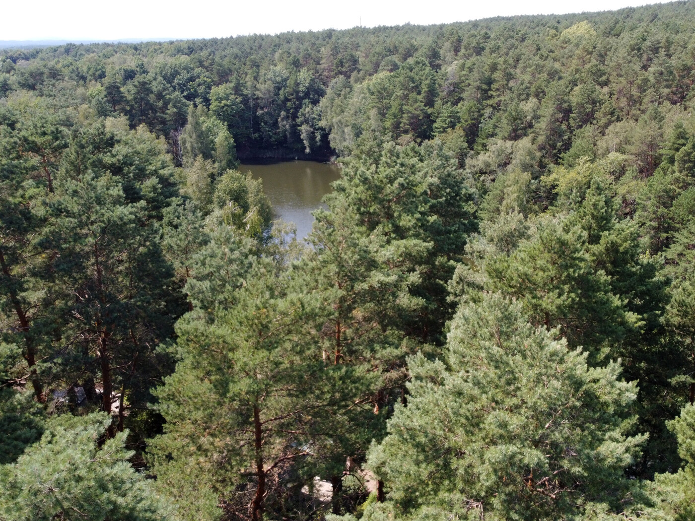 Luftaufnahme mit Blick Richtung Norden