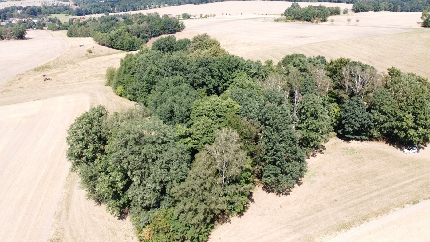 Luftaufnahme - Blick Richtung Nord Osten