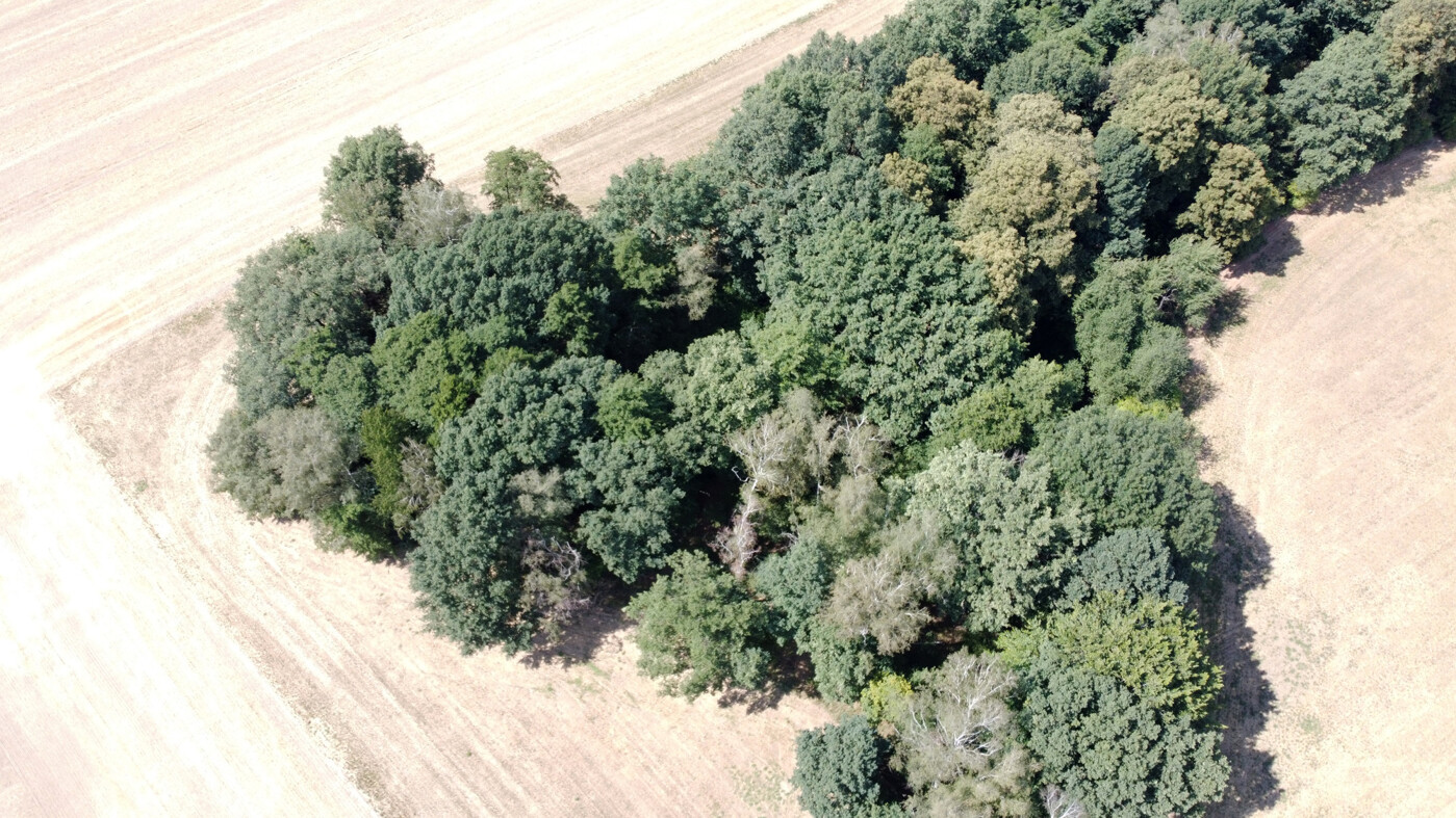 Luftaufnahme - Blick Richtung Nord-Westen