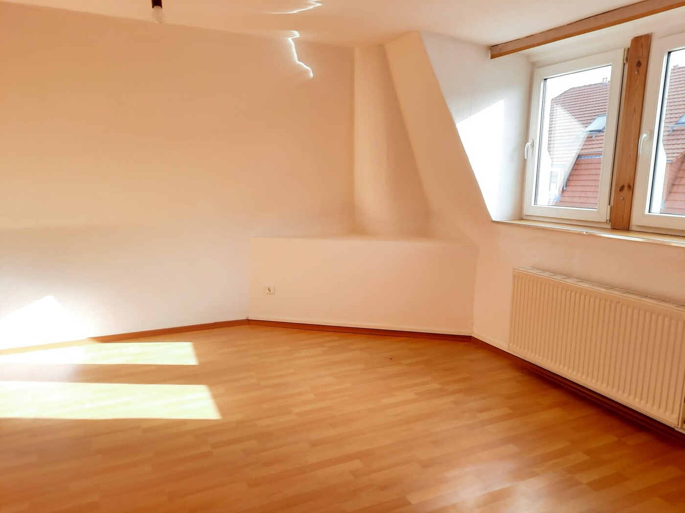 Zimmer DG