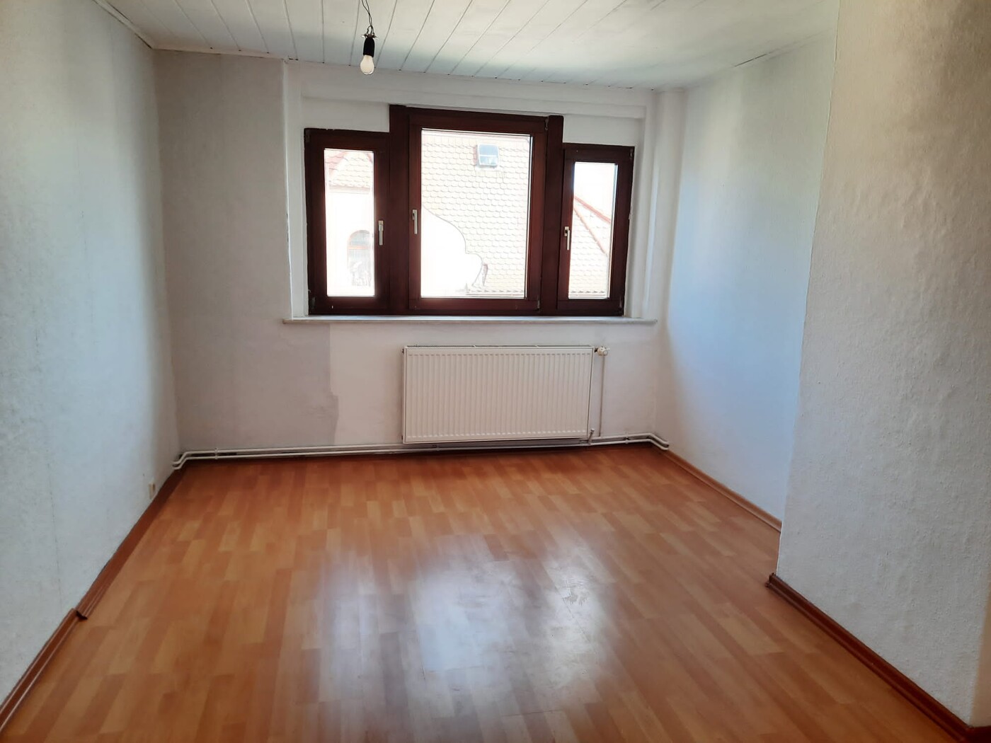 Zimmer DG