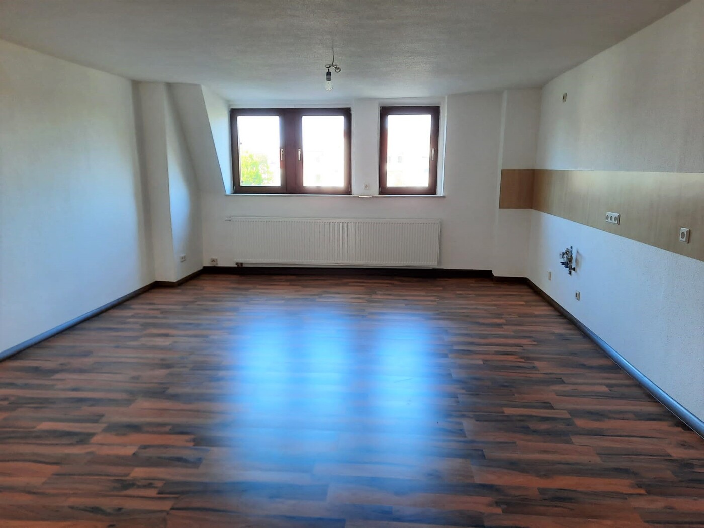 Zimmer DG