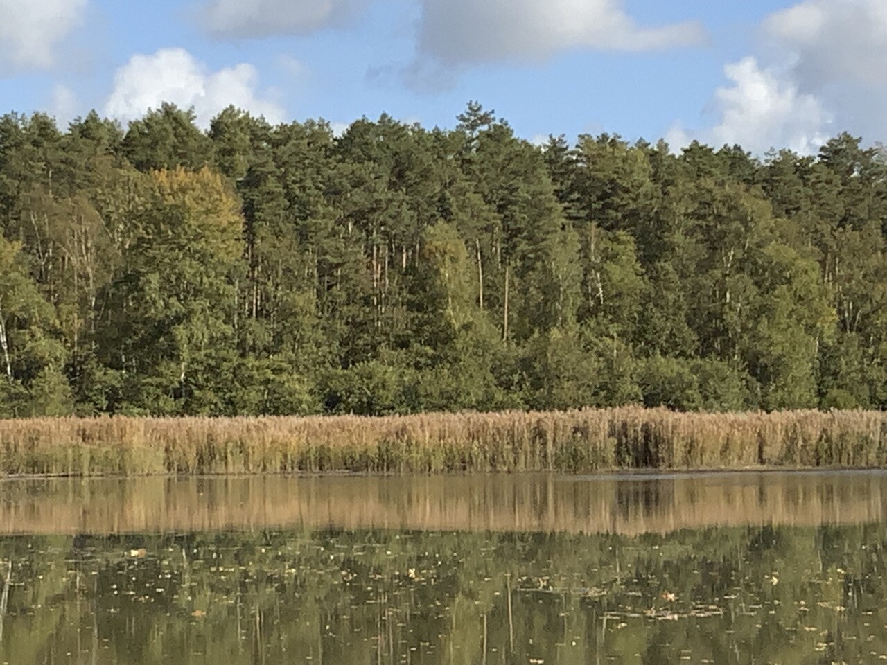 Blick vom Westufer auf Flurstücke