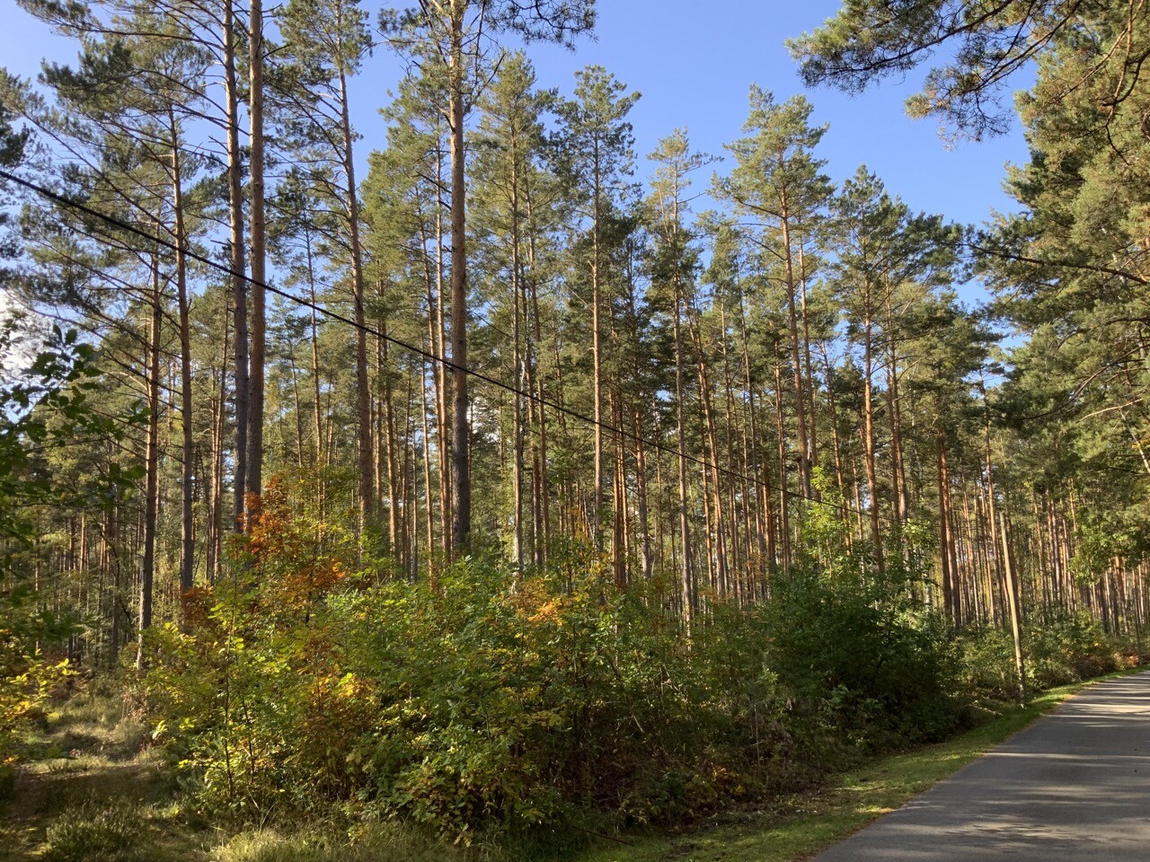 Blick von Straße