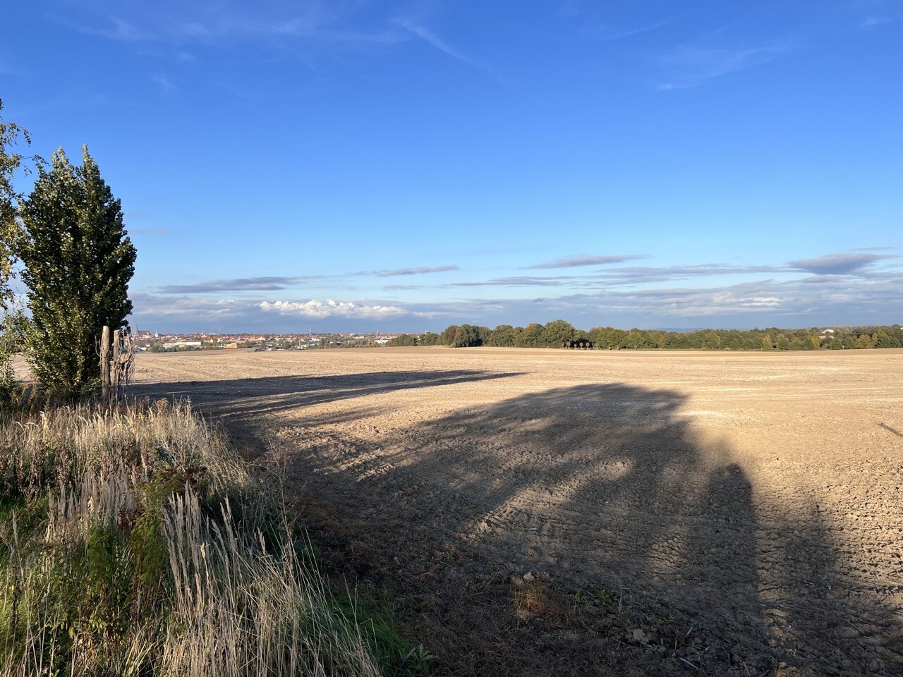 Blick von Straße Richtung Nord-Osten